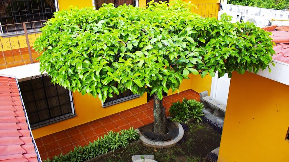 Hotel Villa Terra San Salvador Buitenkant foto